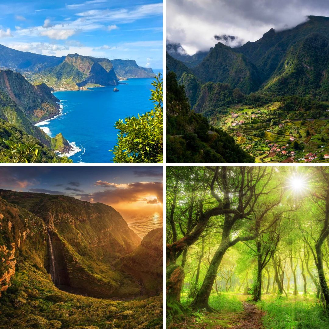 Остров Мадейра - зеленият оазис на Атлантическия океан