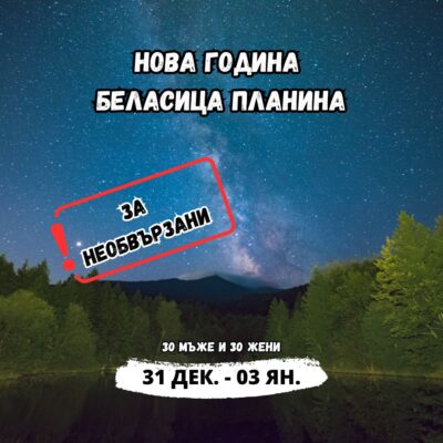 Нова година парти за необвързани